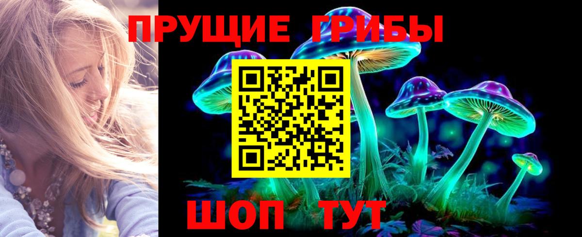 где найти наркотики  Псилоцибиновые грибы мухоморы  Медногорск  Вход с VPN  Псилоцибиновые грибы Magic Shrooms 